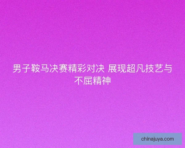 男子鞍马决赛精彩对决 展现超凡技艺与不屈精神